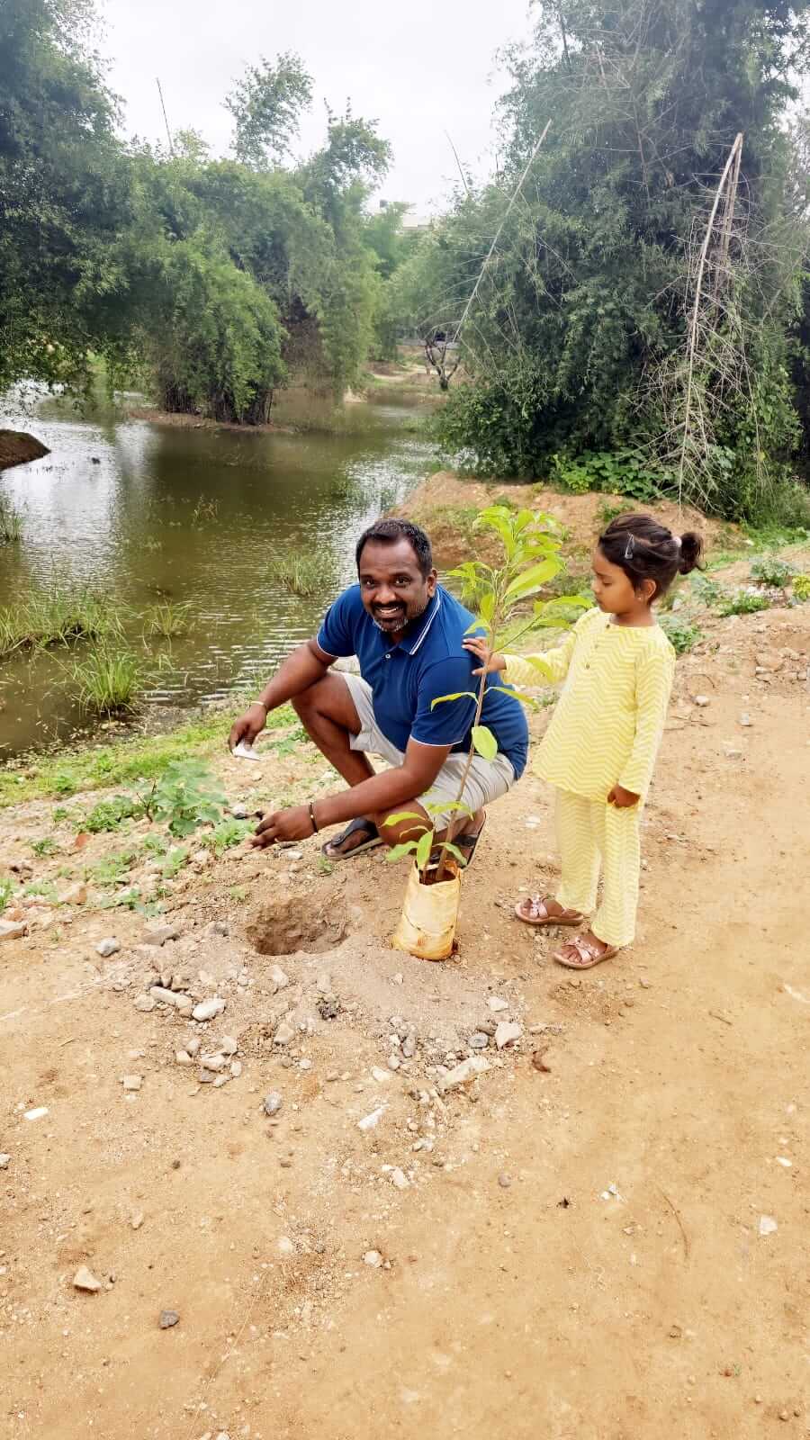 Tree plantation 13